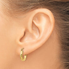 Load image into Gallery viewer, LADIES&#39;S EARRING - HOOPS | TC268
