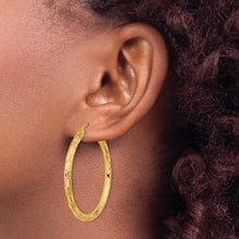 Load image into Gallery viewer, LADIES&#39;S EARRING - HOOPS | TF1014
