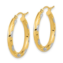 Load image into Gallery viewer, LADIES&#39;S EARRING - HOOPS | TF1022
