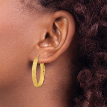 Load image into Gallery viewer, LADIES&#39;S EARRING - HOOPS | TF1086
