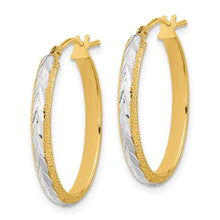 Load image into Gallery viewer, LADIES&#39;S EARRING - HOOPS | TF1140
