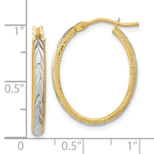 Load image into Gallery viewer, LADIES&#39;S EARRING - HOOPS | TF1140
