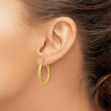 Load image into Gallery viewer, LADIES&#39;S EARRING - HOOPS | TF1145
