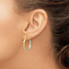 Load image into Gallery viewer, LADIES&#39;S EARRING - HOOPS | TF1194
