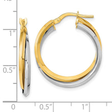 Load image into Gallery viewer, LADIES&#39;S EARRING - HOOPS | TF1194
