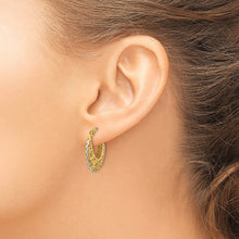 Load image into Gallery viewer, LADIES&#39;S EARRING - HOOPS | TF1247
