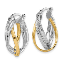 Load image into Gallery viewer, LADIES&#39;S EARRING - HOOPS | TF1500
