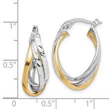 Load image into Gallery viewer, LADIES&#39;S EARRING - HOOPS | TF1500
