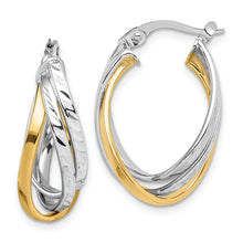 Load image into Gallery viewer, LADIES&#39;S EARRING - HOOPS | TF1500
