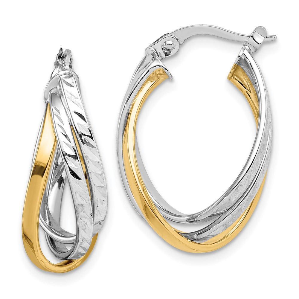 LADIES'S EARRING - HOOPS | TF1500