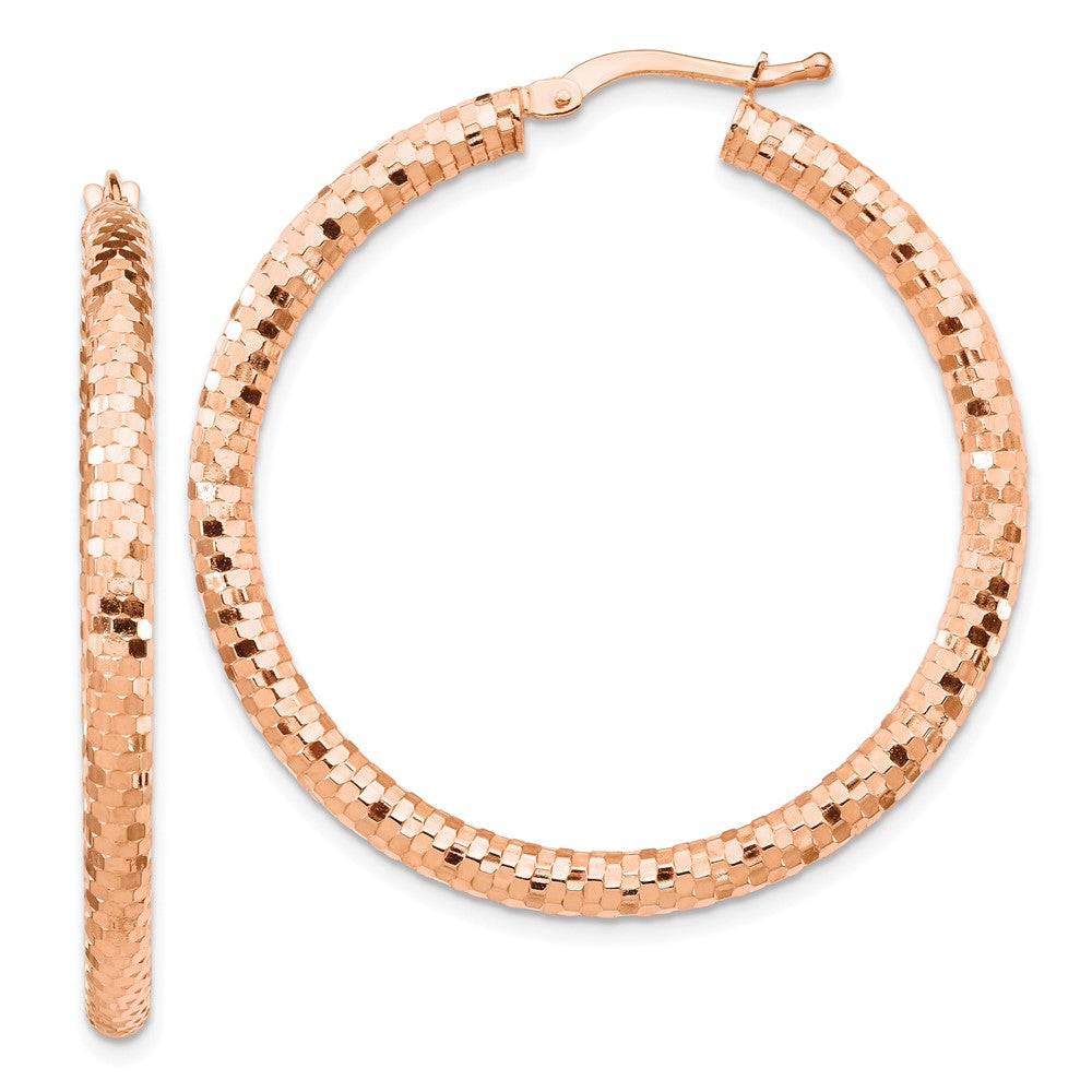 LADIES'S EARRING - HOOPS | TF1704R