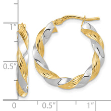 Load image into Gallery viewer, LADIES&#39;S EARRING - HOOPS | TF1967
