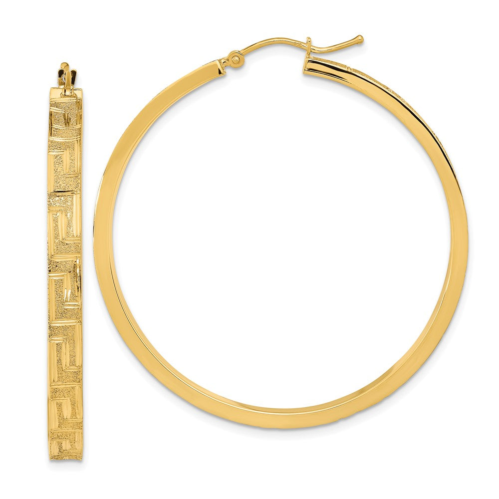 LADIES'S EARRING - HOOPS | TF2058