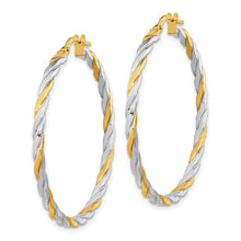 Load image into Gallery viewer, LADIES&#39;S EARRING - HOOPS | TF2085
