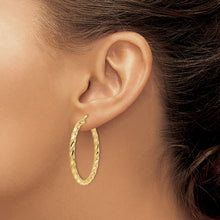 Load image into Gallery viewer, LADIES&#39;S EARRING - HOOPS | TF2132
