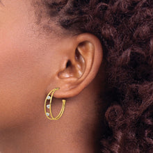 Load image into Gallery viewer, LADIES&#39;S EARRING - HOOPS | TF2154
