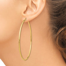 Load image into Gallery viewer, LADIES&#39;S EARRING - HOOPS | TF578

