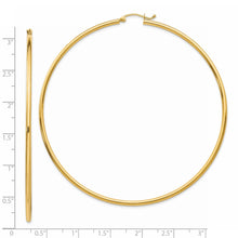 Load image into Gallery viewer, LADIES&#39;S EARRING - HOOPS | TF578
