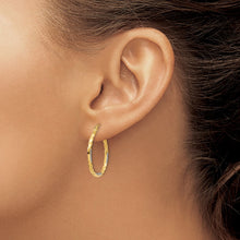 Load image into Gallery viewer, LADIES&#39;S EARRING - HOOPS | TF709
