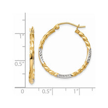 Load image into Gallery viewer, LADIES&#39;S EARRING - HOOPS | TF709
