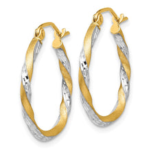 Load image into Gallery viewer, LADIES&#39;S EARRING - HOOPS | TF743
