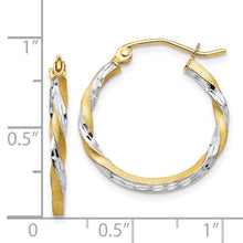 Load image into Gallery viewer, LADIES&#39;S EARRING - HOOPS | TF743
