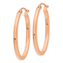 Load image into Gallery viewer, LADIES&#39;S EARRING - HOOPS | TF971
