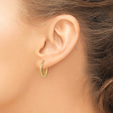 Load image into Gallery viewer, LADIES&#39;S EARRING - HOOPS | TF993
