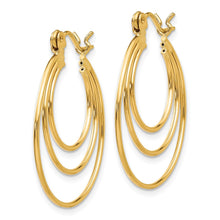 Load image into Gallery viewer, LADIES&#39;S EARRING - HOOPS | TL687
