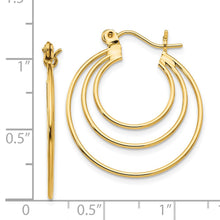 Load image into Gallery viewer, LADIES&#39;S EARRING - HOOPS | TL687
