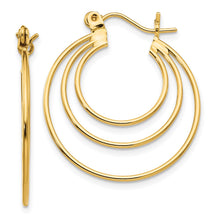 Load image into Gallery viewer, LADIES&#39;S EARRING - HOOPS | TL687
