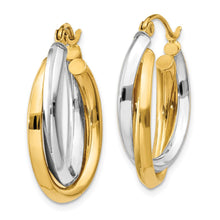 Load image into Gallery viewer, LADIES&#39;S EARRING - HOOPS | TM398
