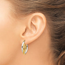 Load image into Gallery viewer, LADIES&#39;S EARRING - HOOPS | TM398
