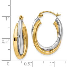 Load image into Gallery viewer, LADIES&#39;S EARRING - HOOPS | TM398
