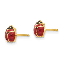 Load image into Gallery viewer, LADIES&#39;S EARRING - CLASSIC | XAC855
