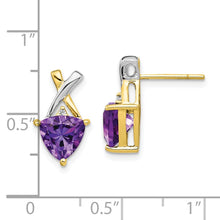 Load image into Gallery viewer, LADIES&#39;S EARRING - CLASSIC | XE2572AM
