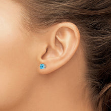 Load image into Gallery viewer, LADIES&#39;S EARRING - CLASSIC | XE61WBT
