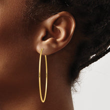 Load image into Gallery viewer, LADIES&#39;S EARRING - HOOPS | XY1167
