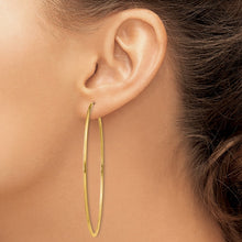 Load image into Gallery viewer, LADIES&#39;S EARRING - HOOPS | XY1168
