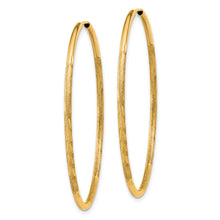 Load image into Gallery viewer, LADIES&#39;S EARRING - HOOPS | XY1169
