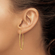 Load image into Gallery viewer, LADIES&#39;S EARRING - HOOPS | XY1169
