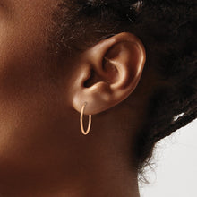 Load image into Gallery viewer, LADIES&#39;S EARRING - HOOPS | XY1236
