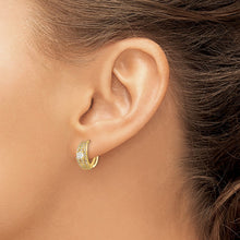 Load image into Gallery viewer, LADIES&#39;S EARRING - HOOPS | XY1262
